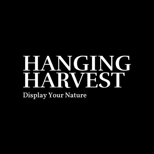 Hangin' Harvest